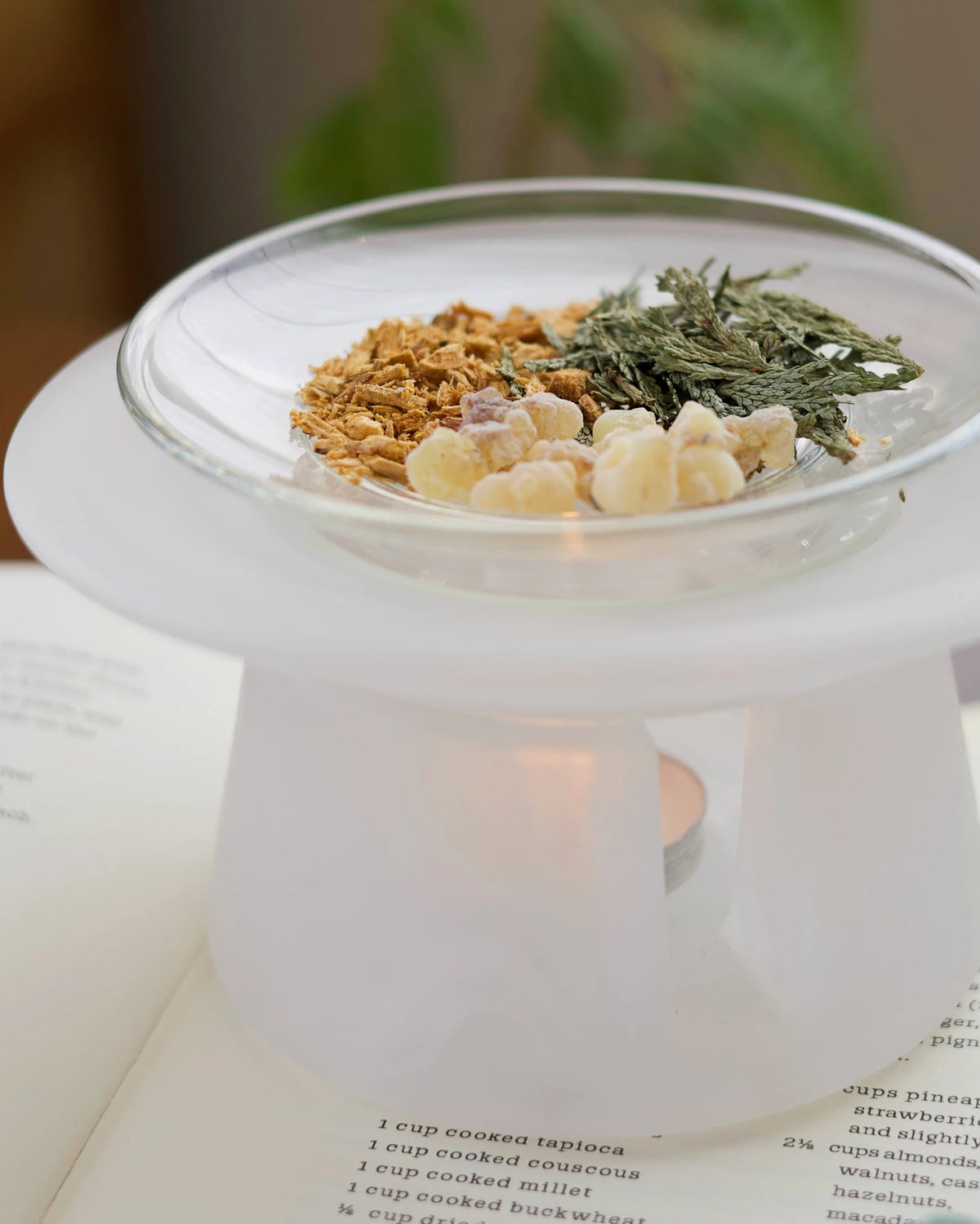 Bone white glass incense warmer with dried flowers, cypress tips and pale resin in the dish above a lit tealight
